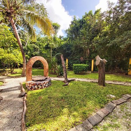 コスメル Mini Pini Bird Watching And Cenote Loftヴィラ エクステリア 写真
