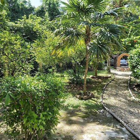 コスメル Mini Pini Bird Watching And Cenote Loftヴィラ エクステリア 写真