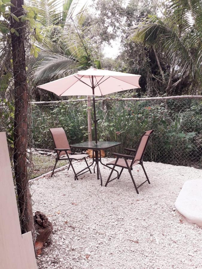 コスメル Mini Pini Bird Watching And Cenote Loftヴィラ エクステリア 写真