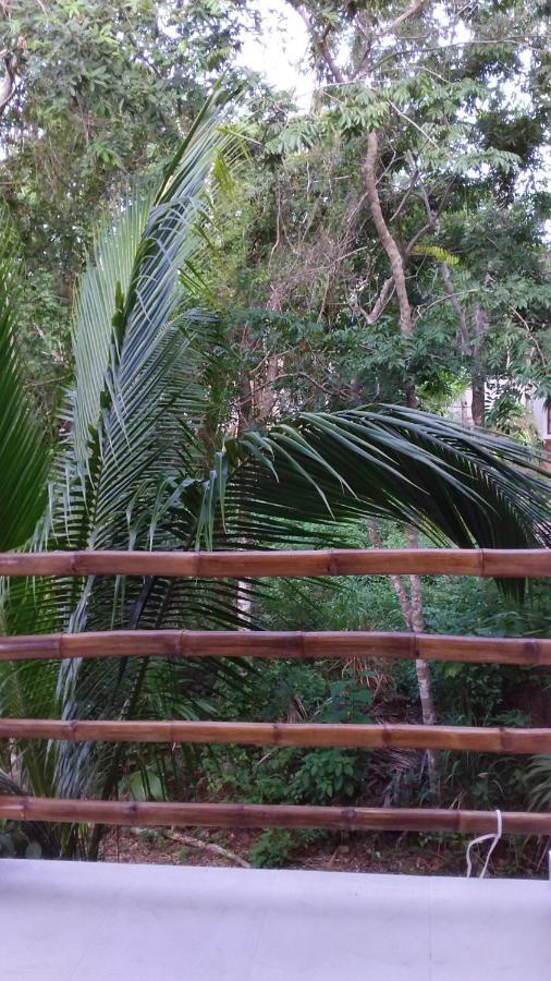 コスメル Mini Pini Bird Watching And Cenote Loftヴィラ エクステリア 写真