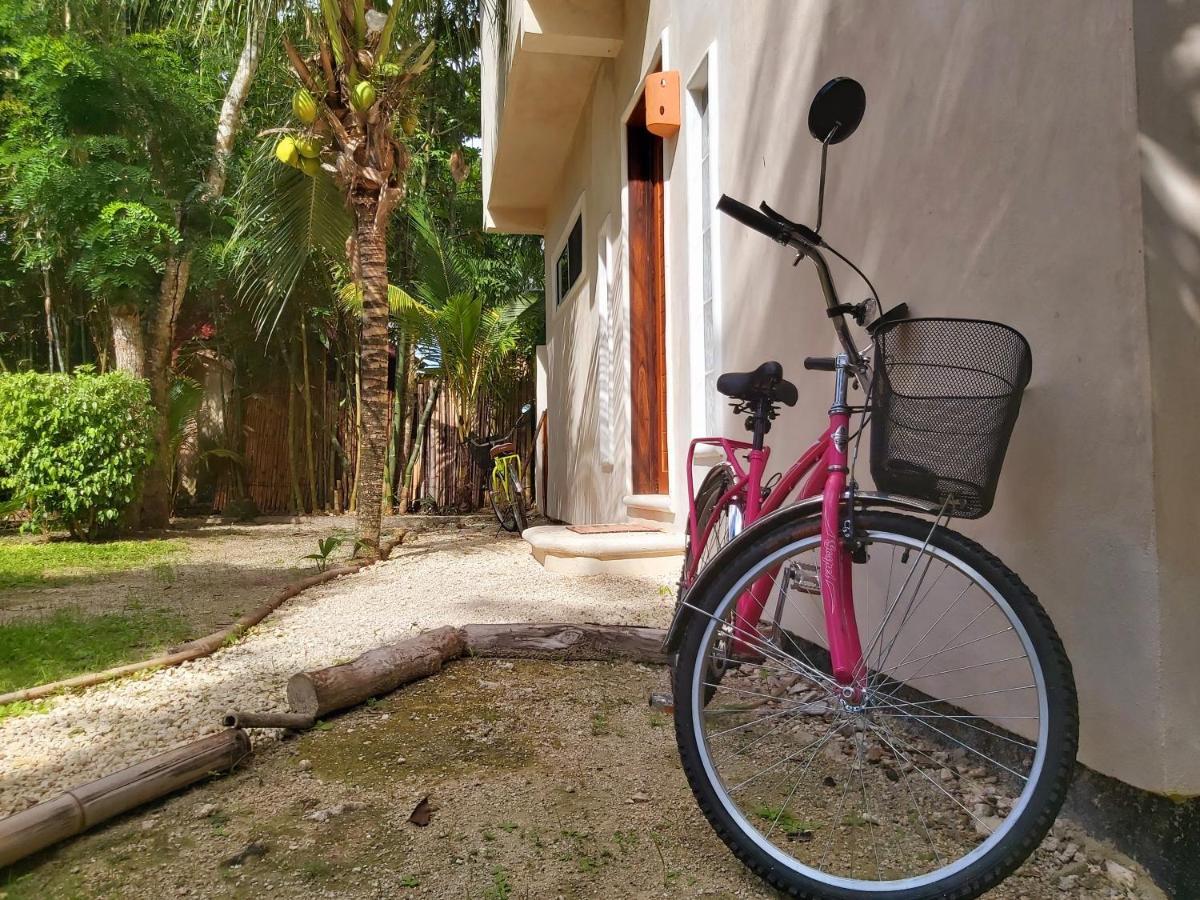コスメル Mini Pini Bird Watching And Cenote Loftヴィラ エクステリア 写真